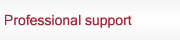 Professional support